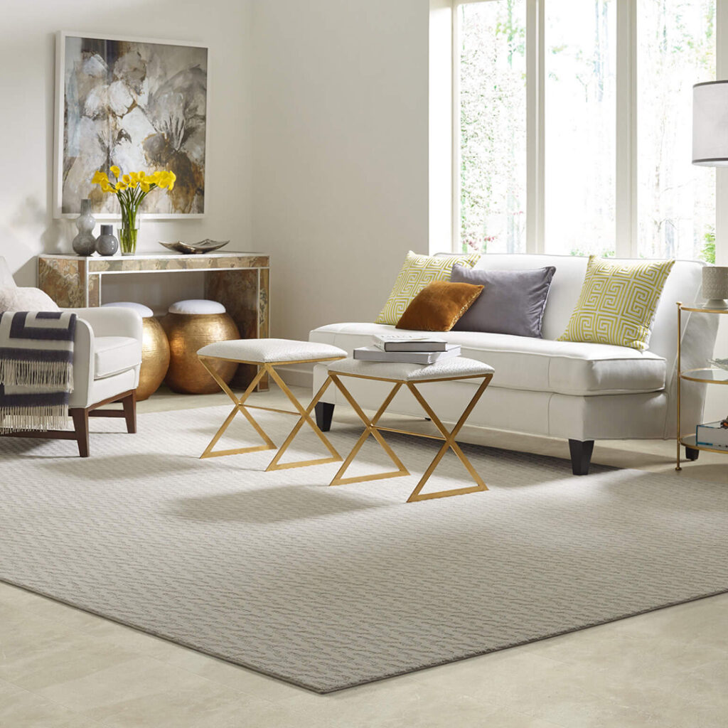 Area rug | Kelly's Carpet & Furniture