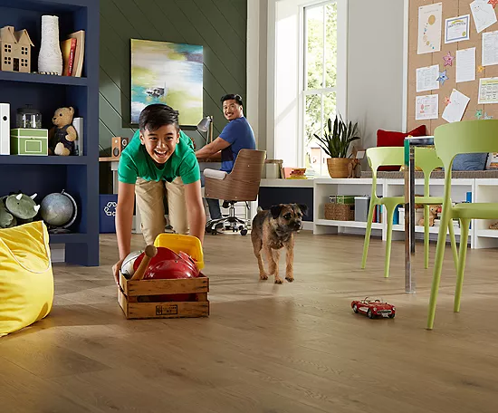 Safeguarding floors from pet | Kelly's Carpet & Furniture