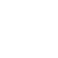 Vinyl-Icon@2x